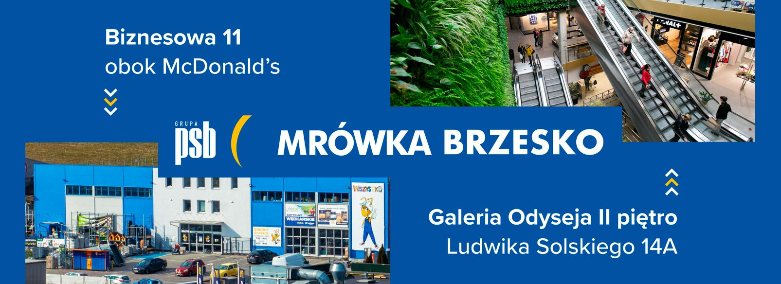 Grupa PSB mrowka Mrówka Brzesko